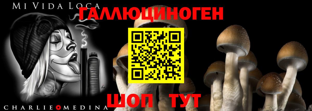 Псилоцибиновые грибы MAGIC MUSHROOMS Барабинск